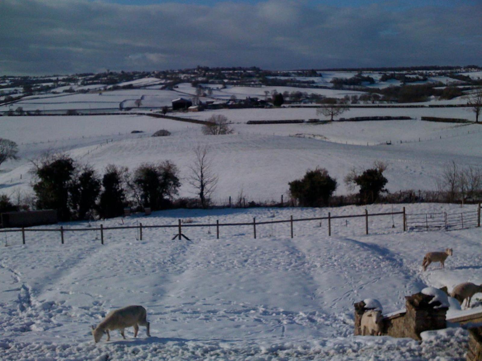 T'S At Lower Rudloe Farm Guest House Corsham Eksteriør bilde