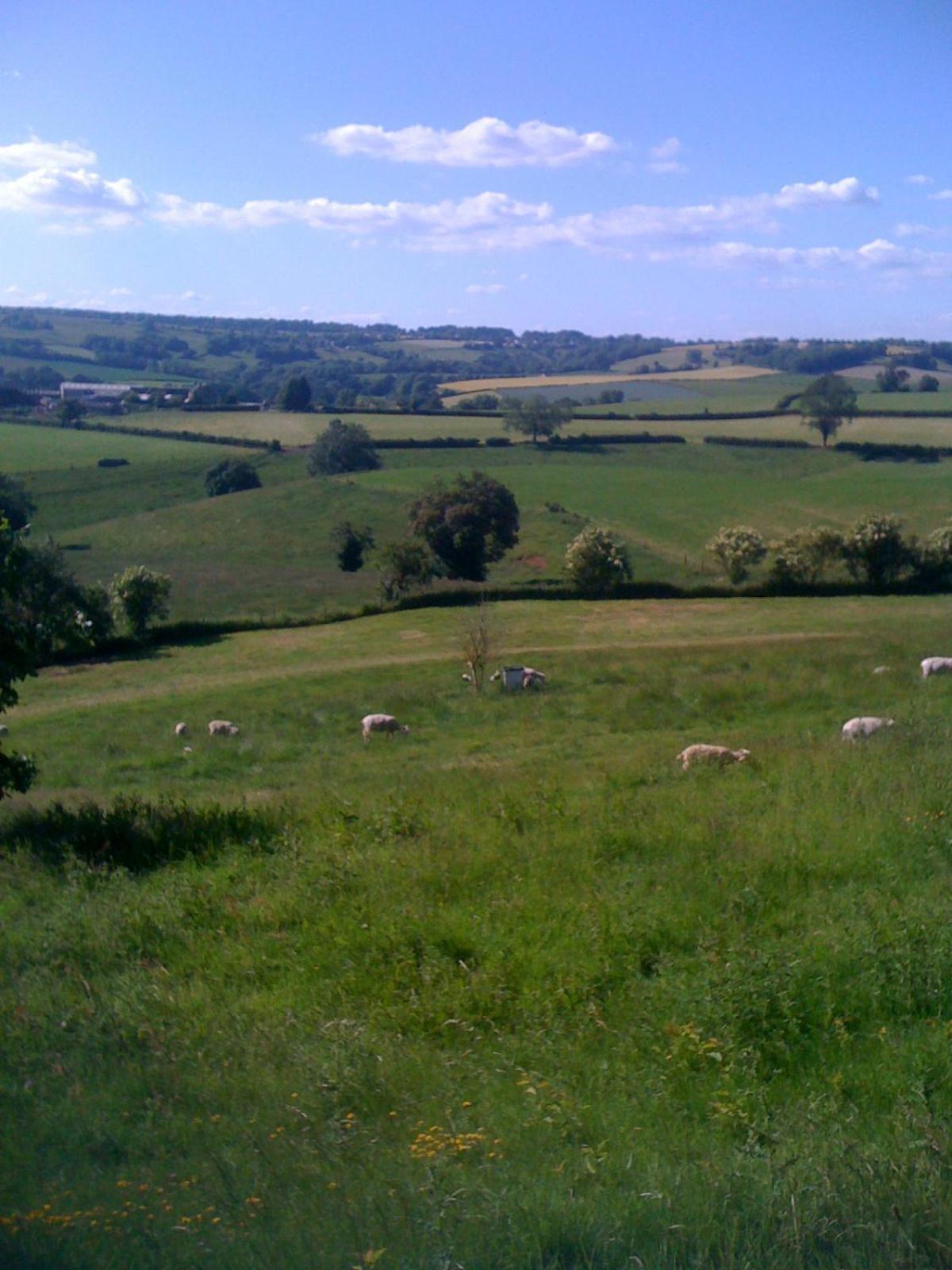 T'S At Lower Rudloe Farm Guest House Corsham Eksteriør bilde